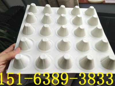 石嘴山注塑料聚丙烯瀝水板 泉州新聞 