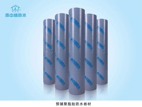 專業化贏口碑——雨中情防水助力陜西省重點工程防水保溫工程